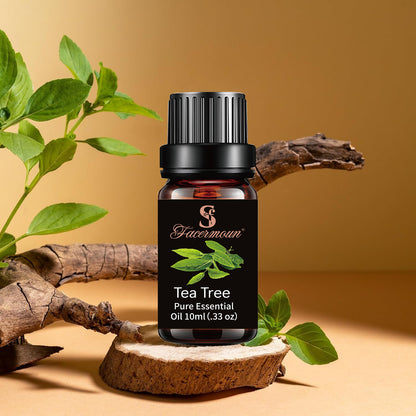 Pure Plant Essential Oils for Aromatherapy and Skincare