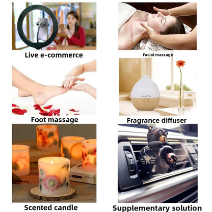 Pure Plant Essential Oils for Aromatherapy and Skincare