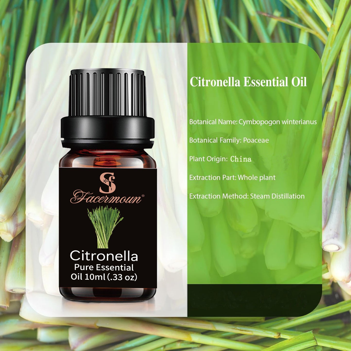Pure Plant Essential Oils for Aromatherapy and Skincare
