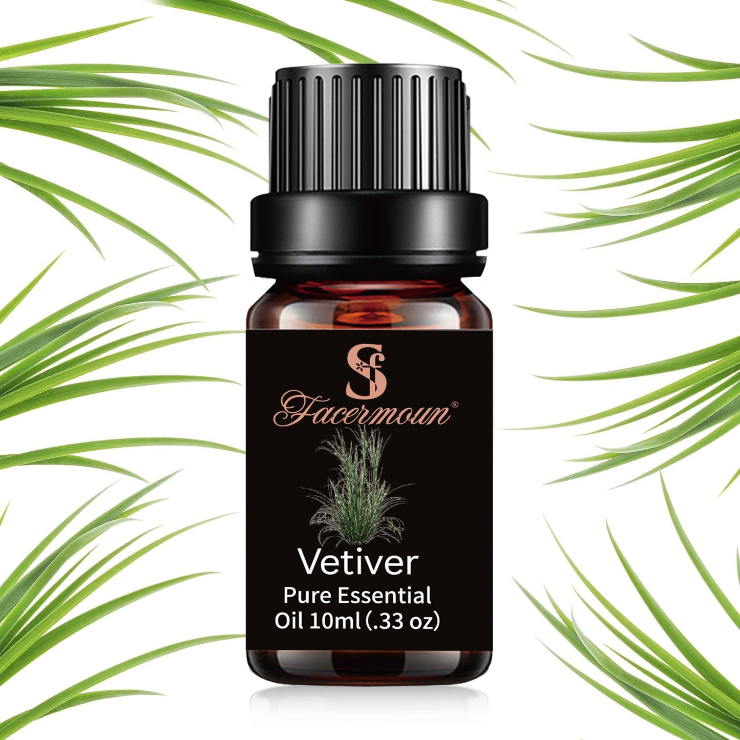 Pure Plant Essential Oils for Aromatherapy and Skincare