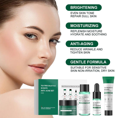 Tea Tree Salicylic Acid Acne Treatment Skincare Set - Mini Facial Care Kit for Women, Includes Cleanser, Toner, Serum, and Cream, Ideal for Oil Control and Travel